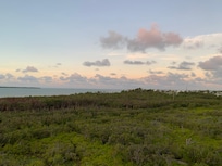 View from the balcony