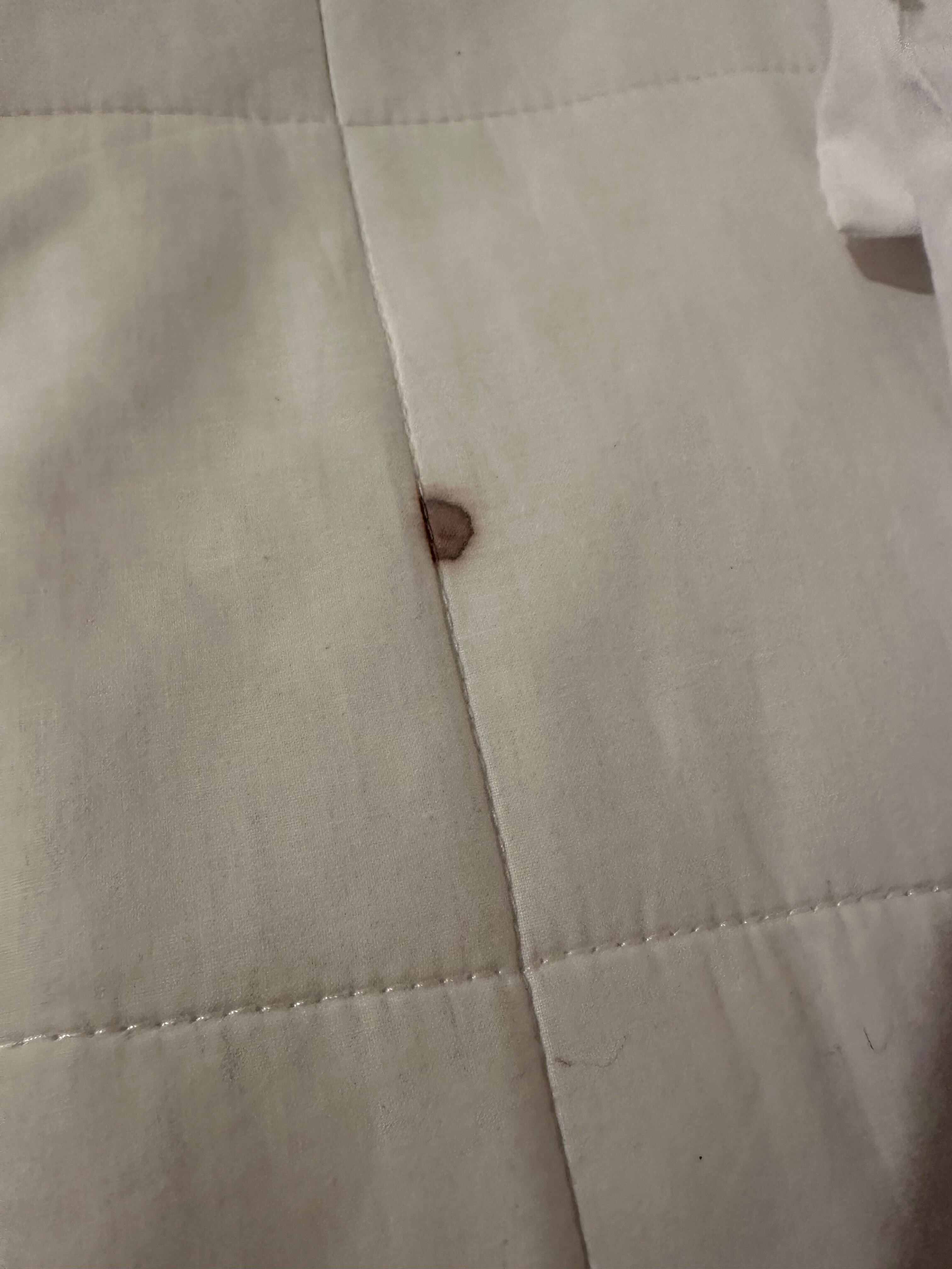 Blood stain on mattress protector 
