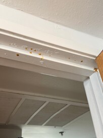 Not even sure what that is.