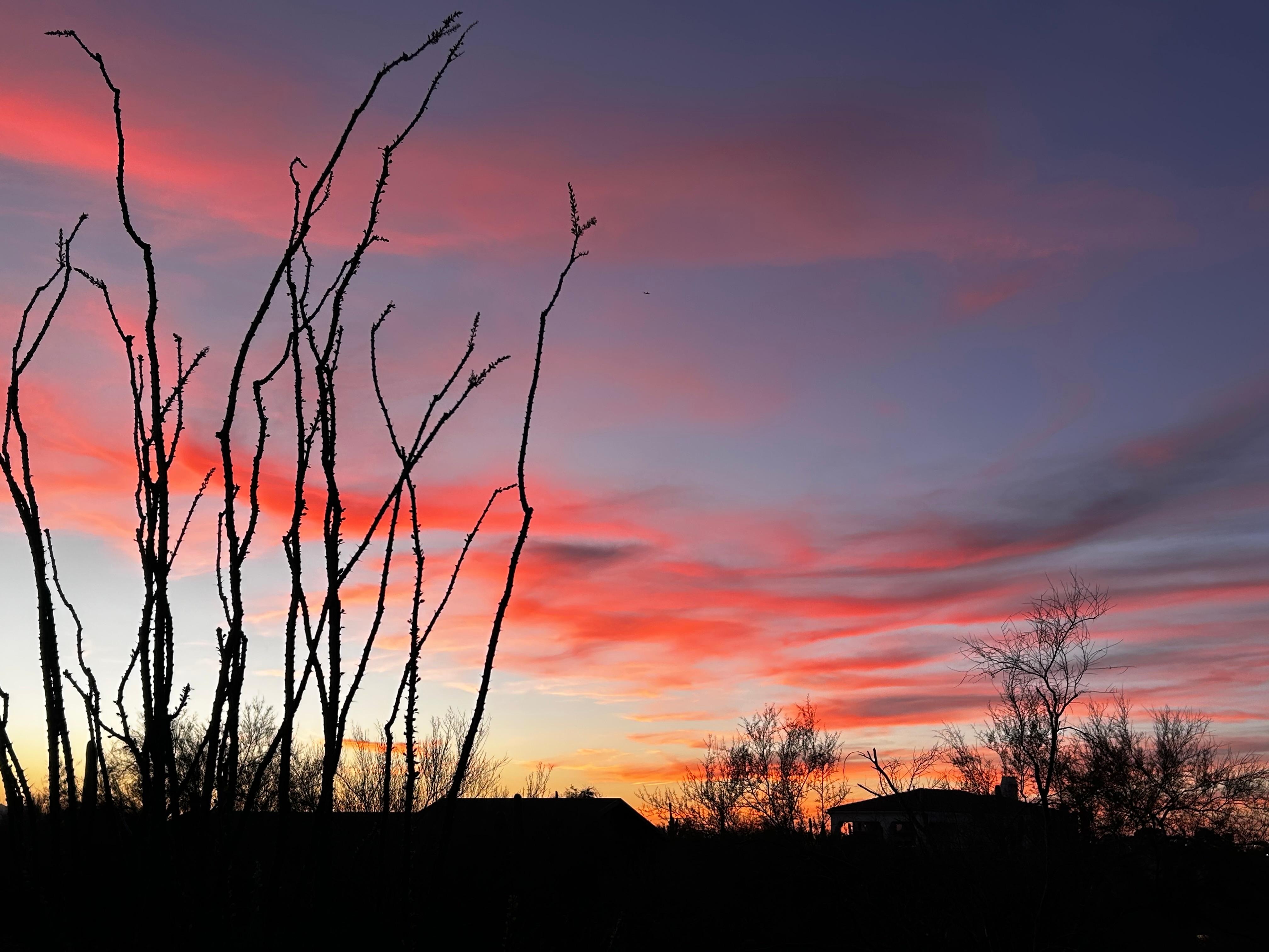 Another Tequila Suset