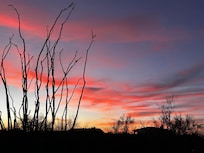 Another Tequila Suset