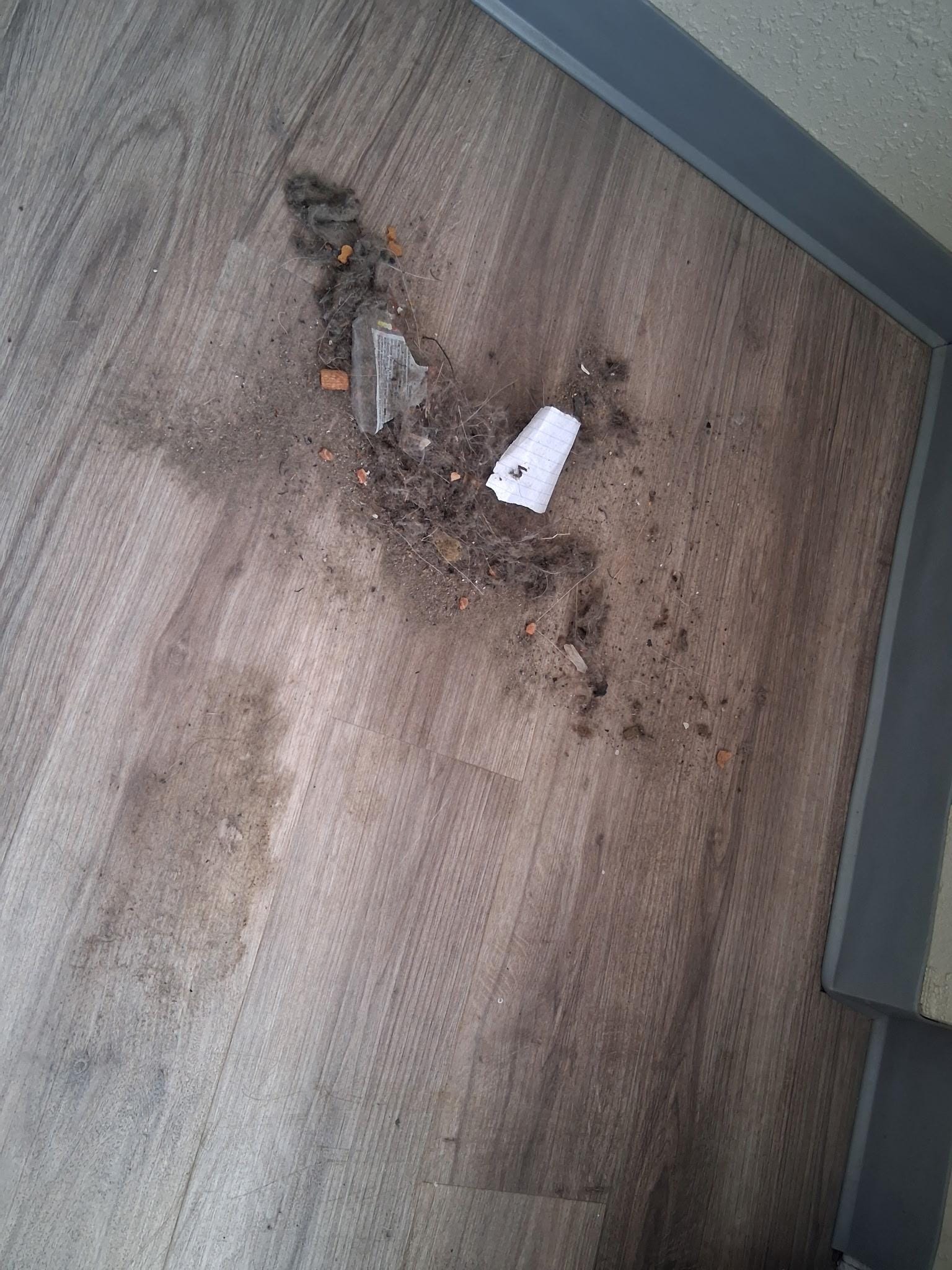 Very dirty under couch!!