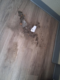 Very dirty under couch!!