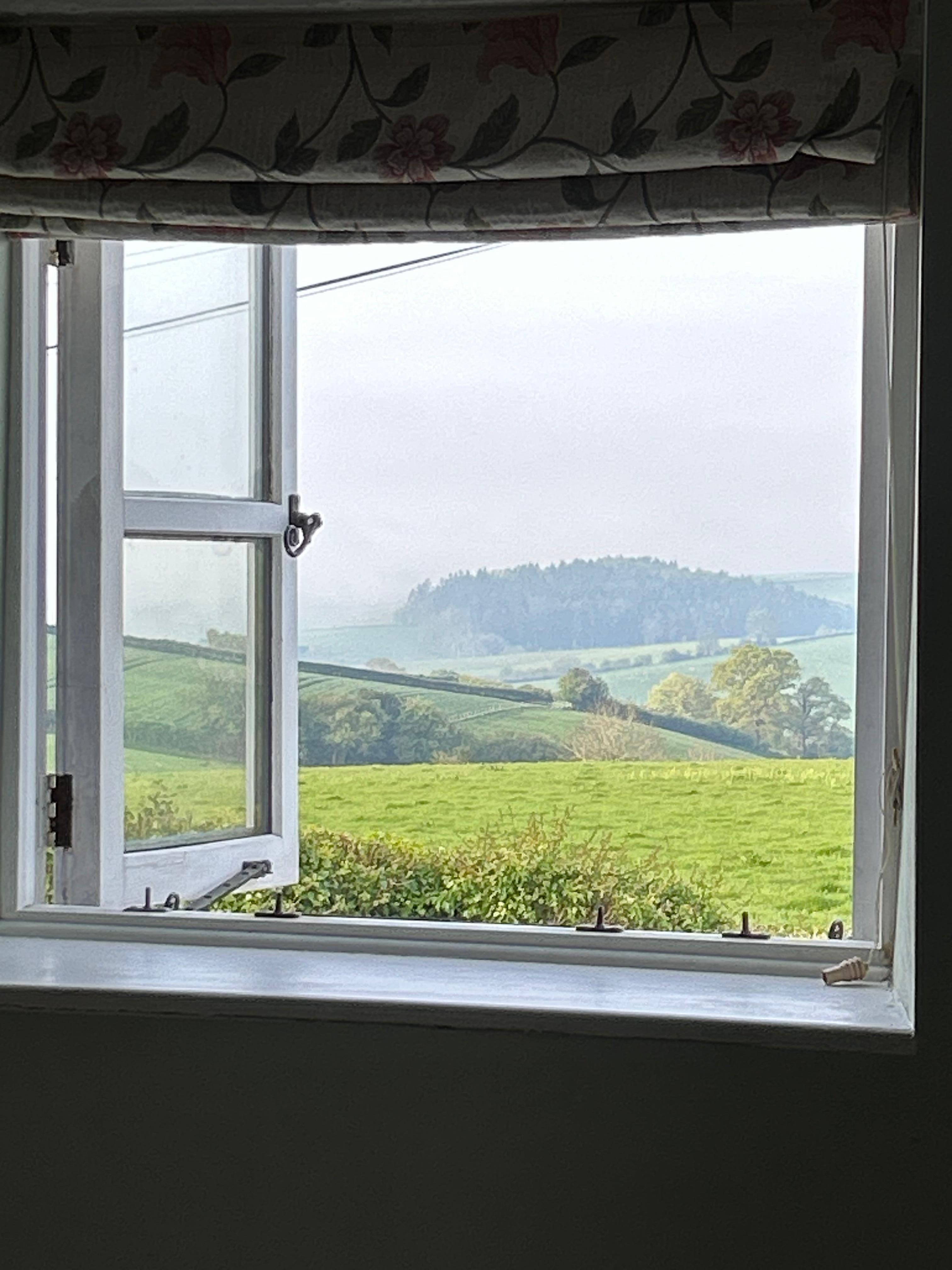The view from one of the bedrooms 