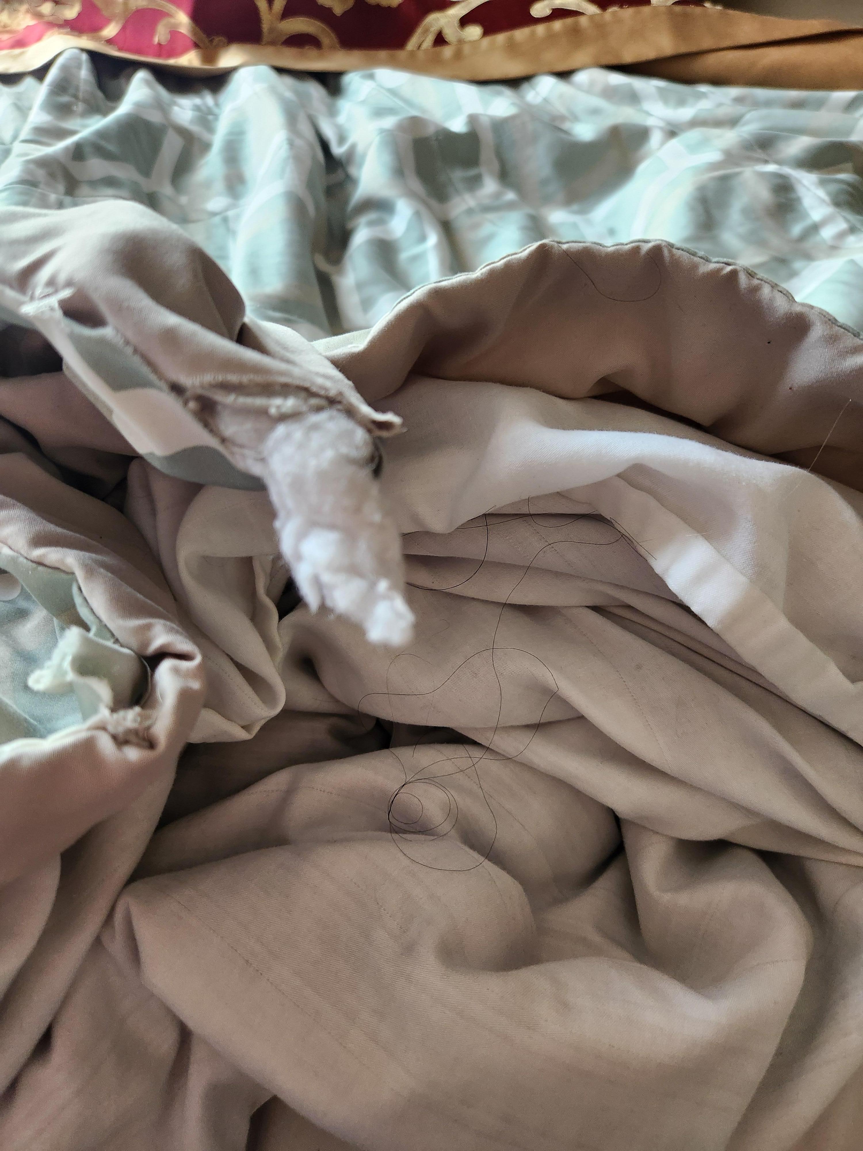 Hair and torn comforter
