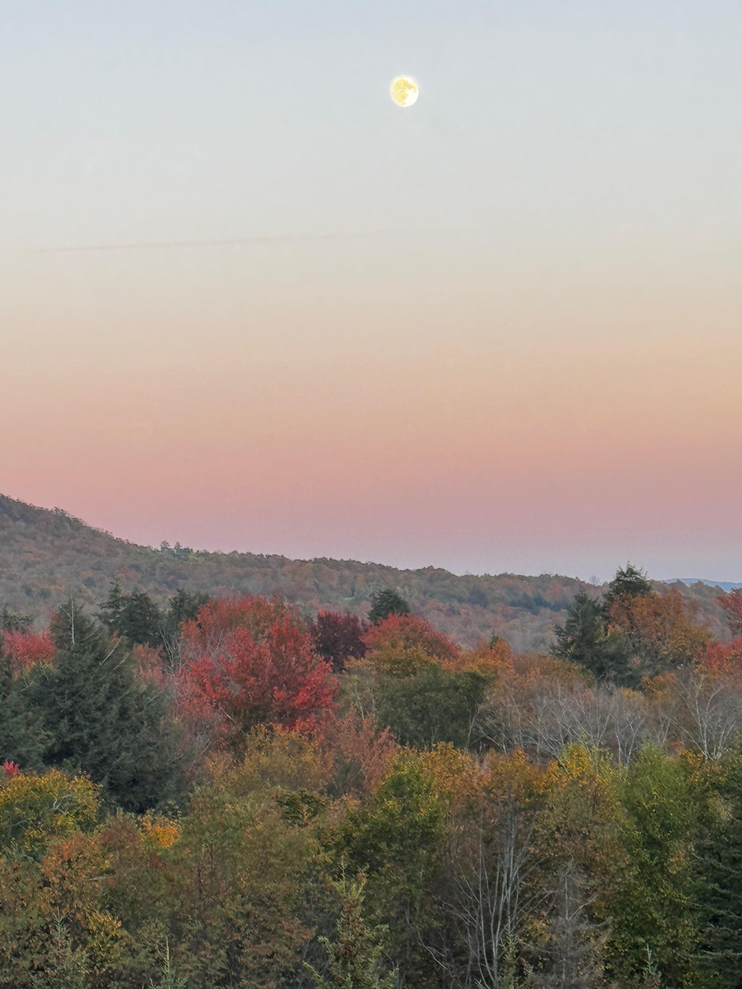 View of the moon coming out from one of the balconies during color chanfe
