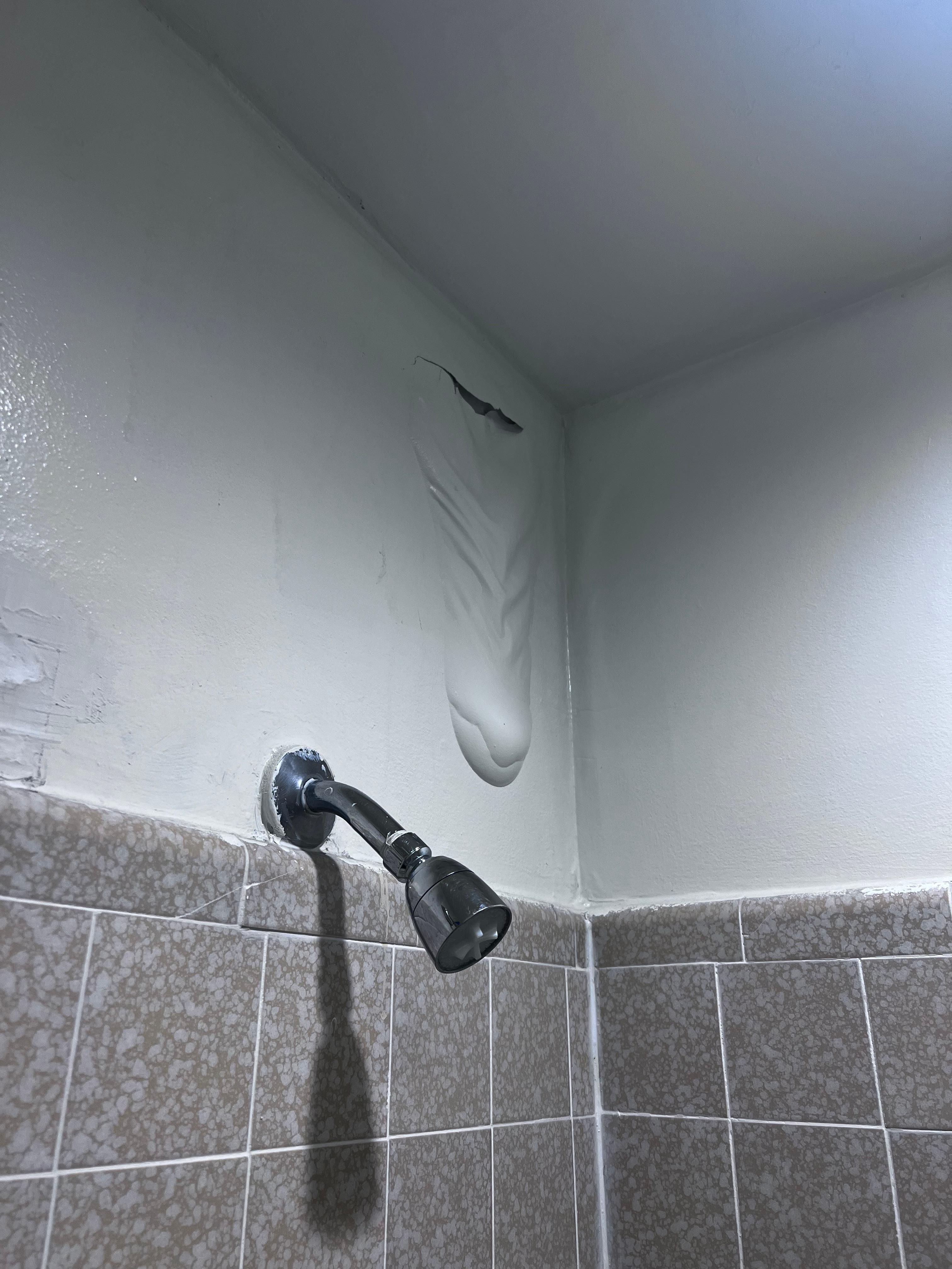 Shower wall