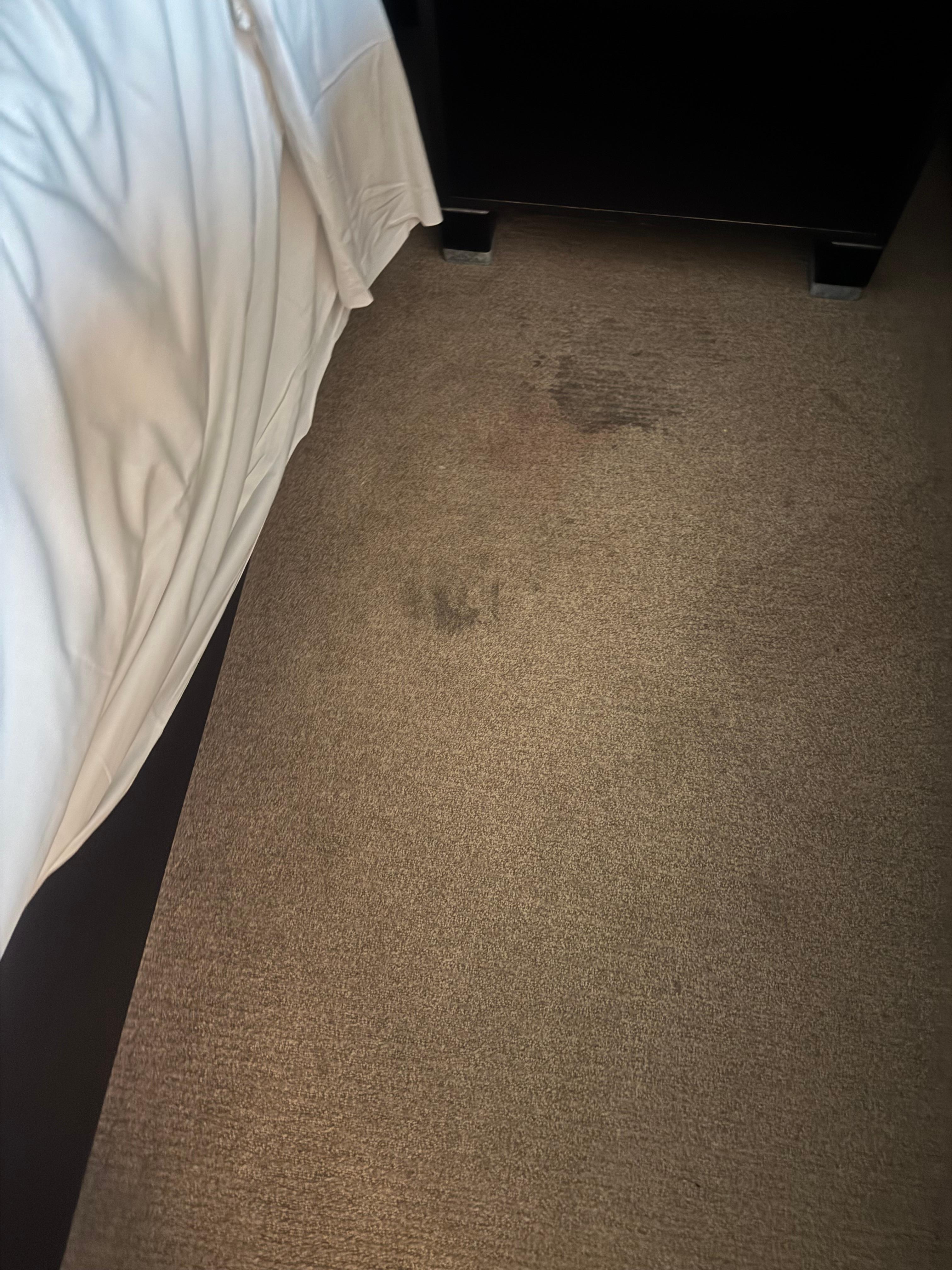 Dirty carpet