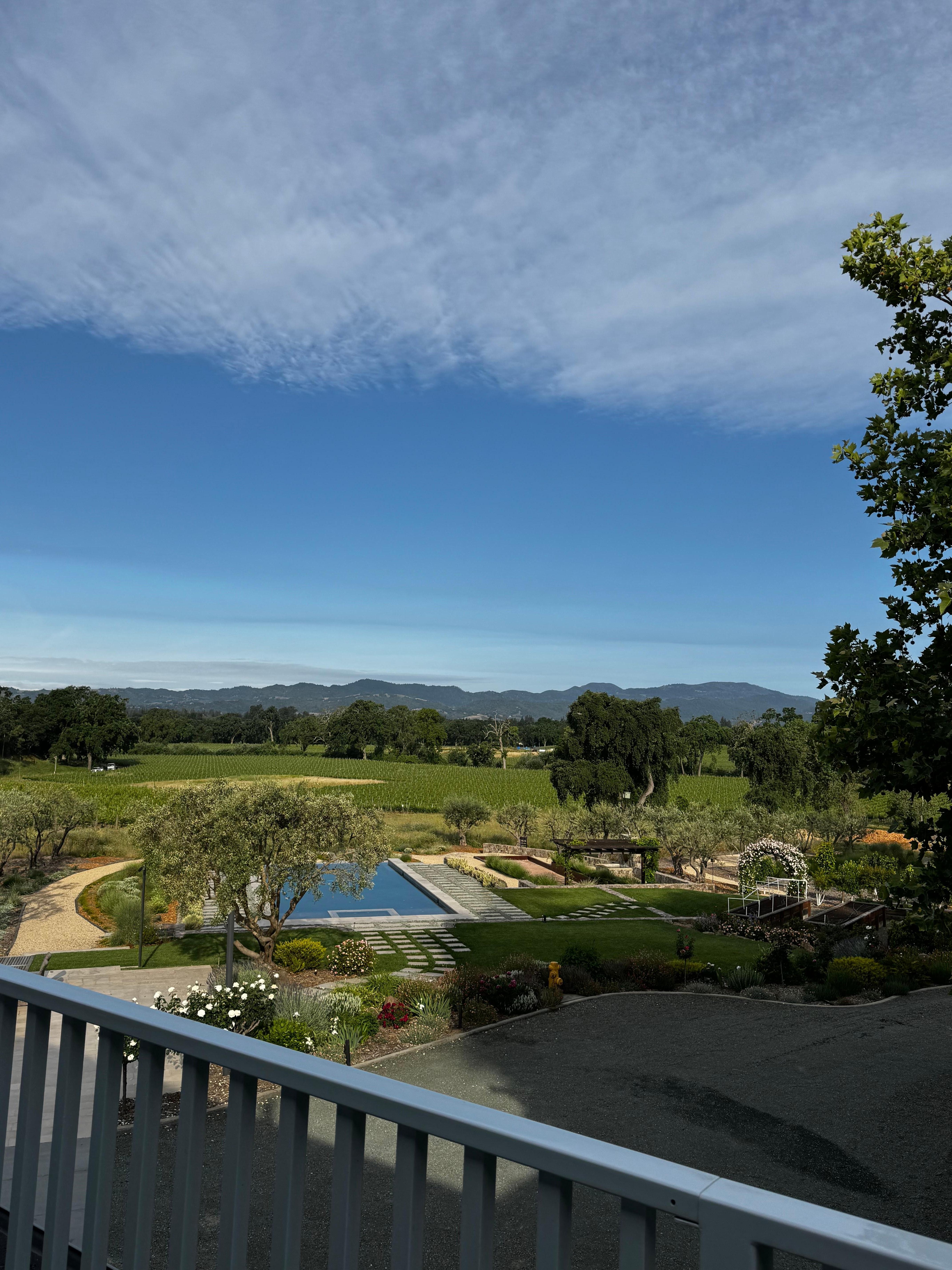 View from back porch