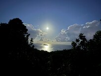 Off the back deck area.