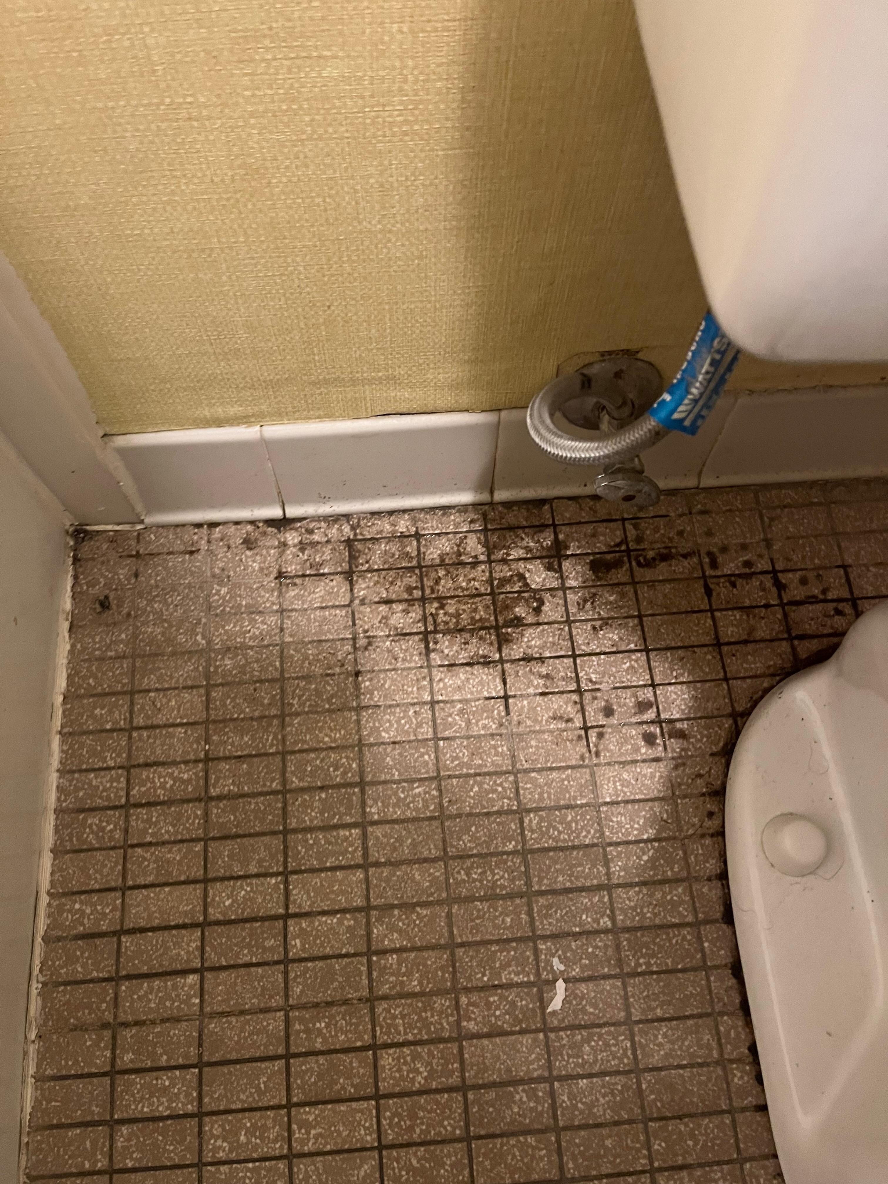 Damp dirt and mold between stool and tub