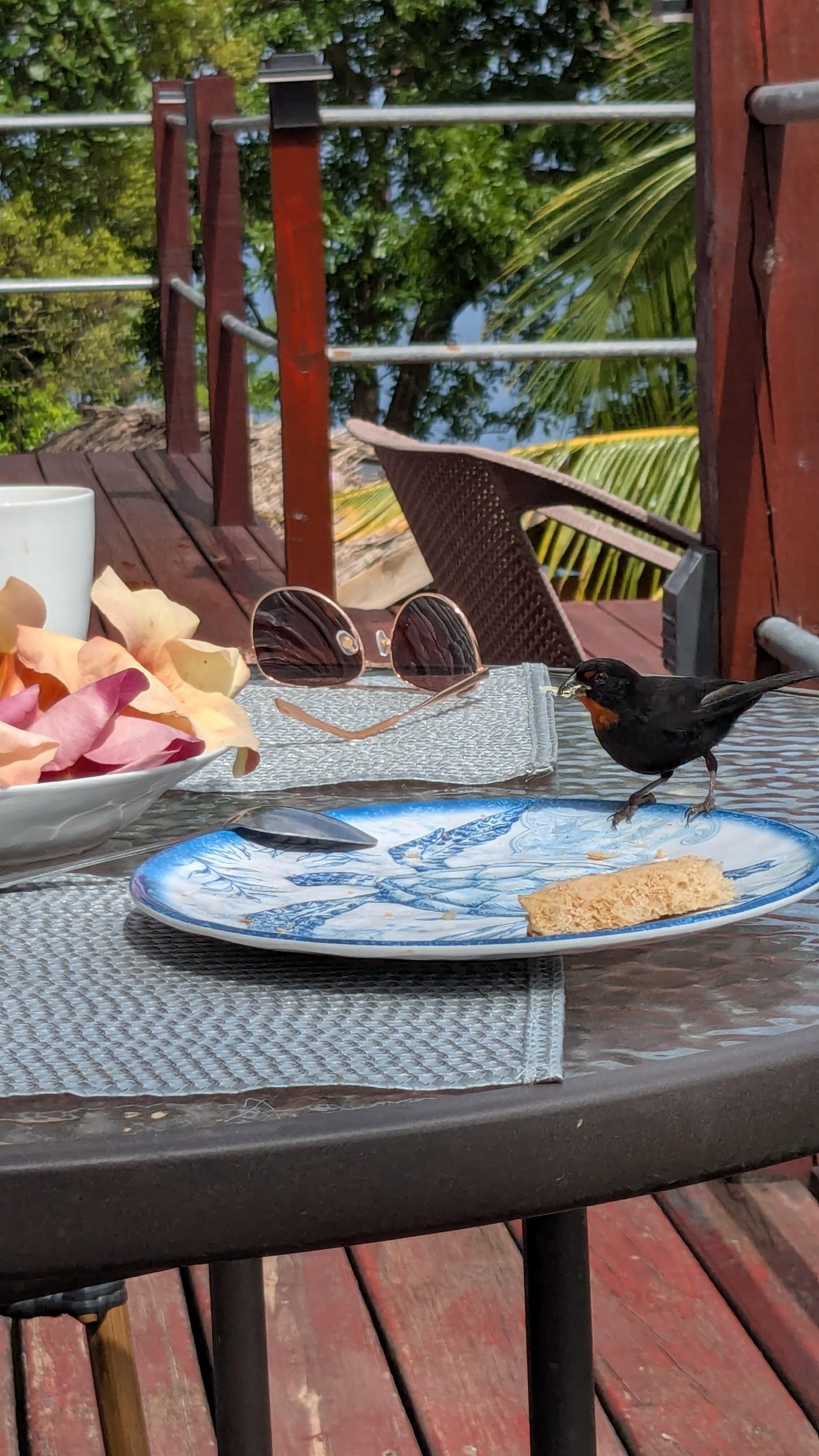 Breakfast 