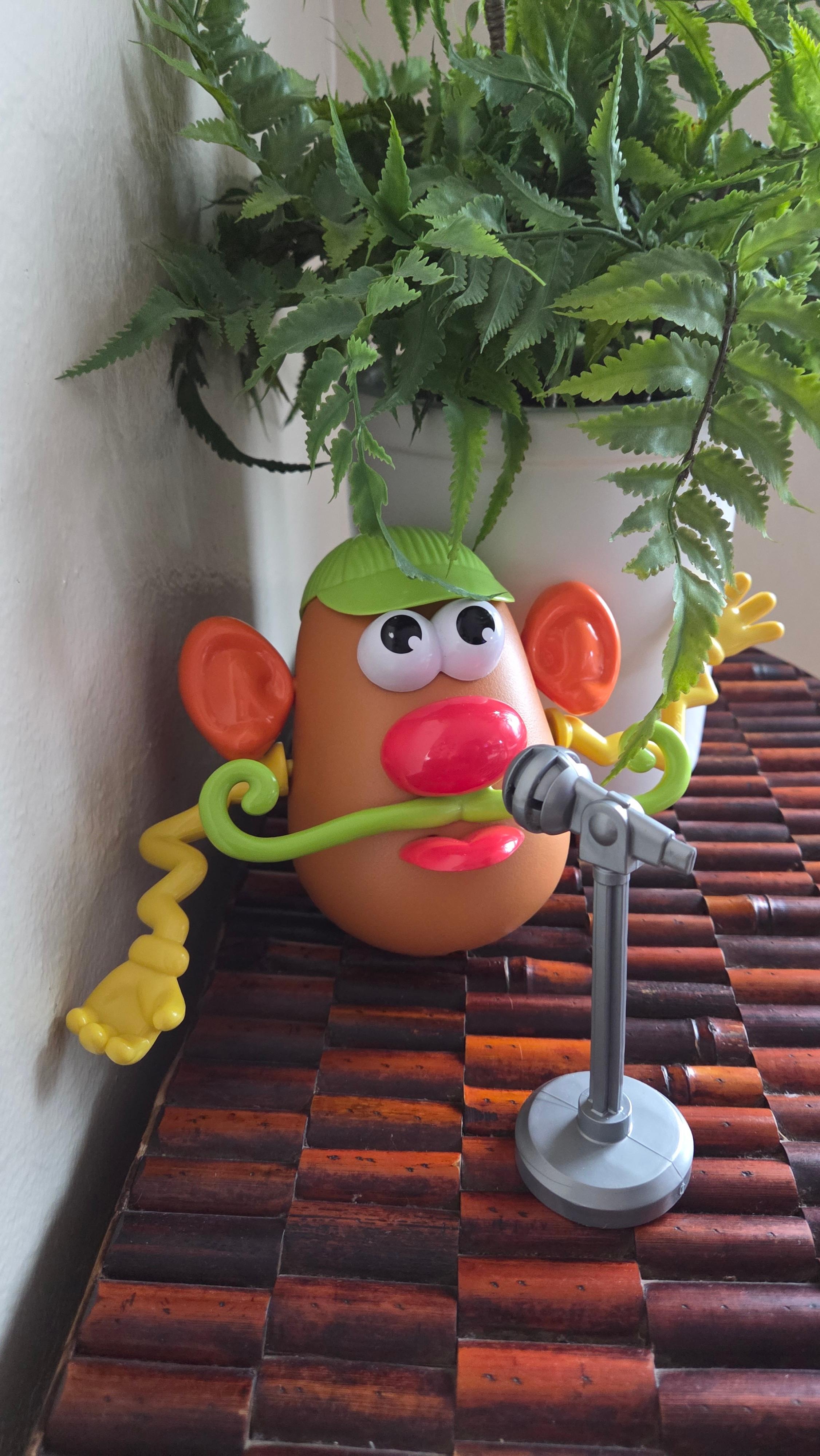 This guy was hanging around