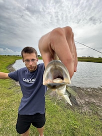Here fishy fishy