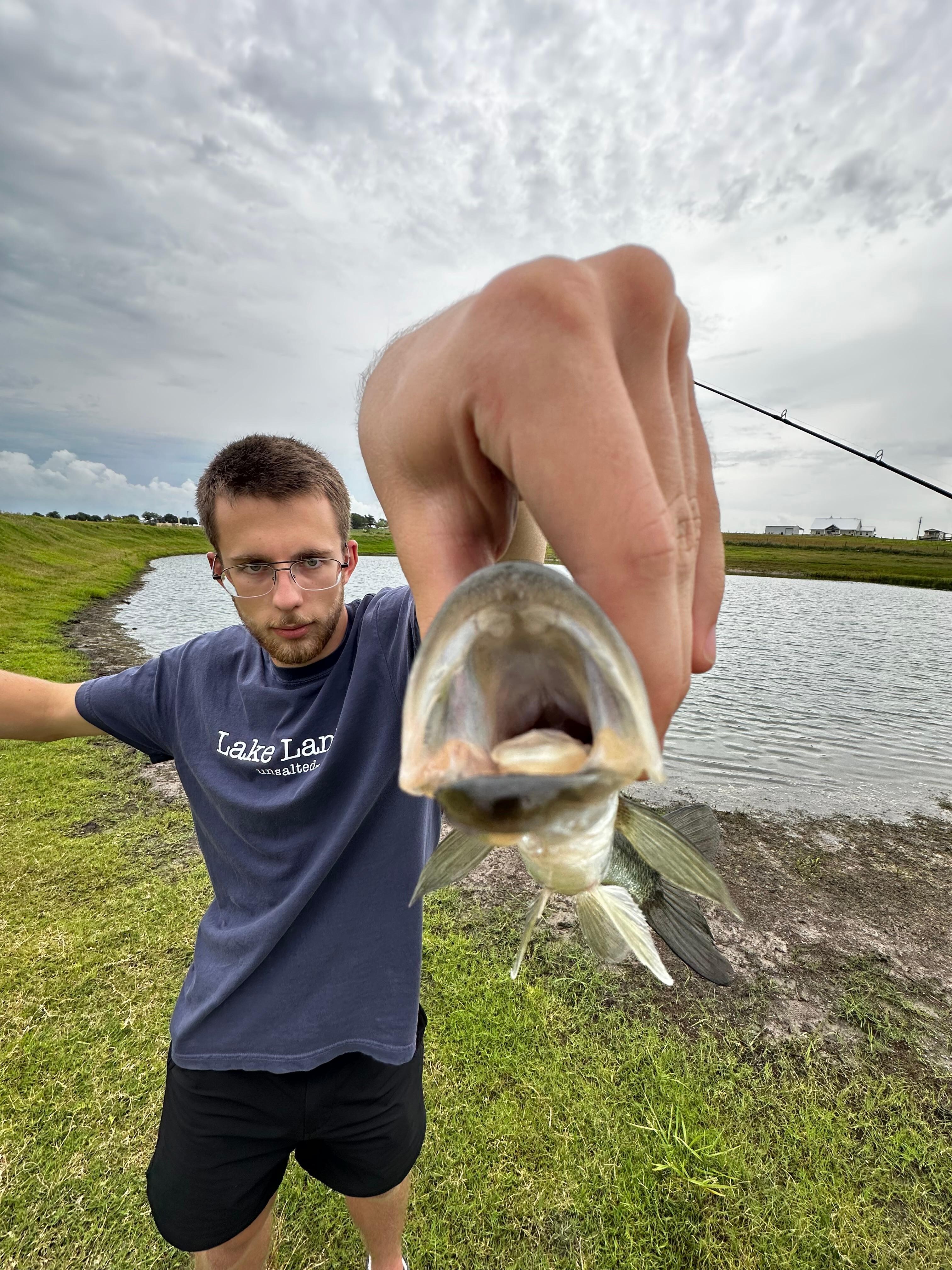Here fishy fishy