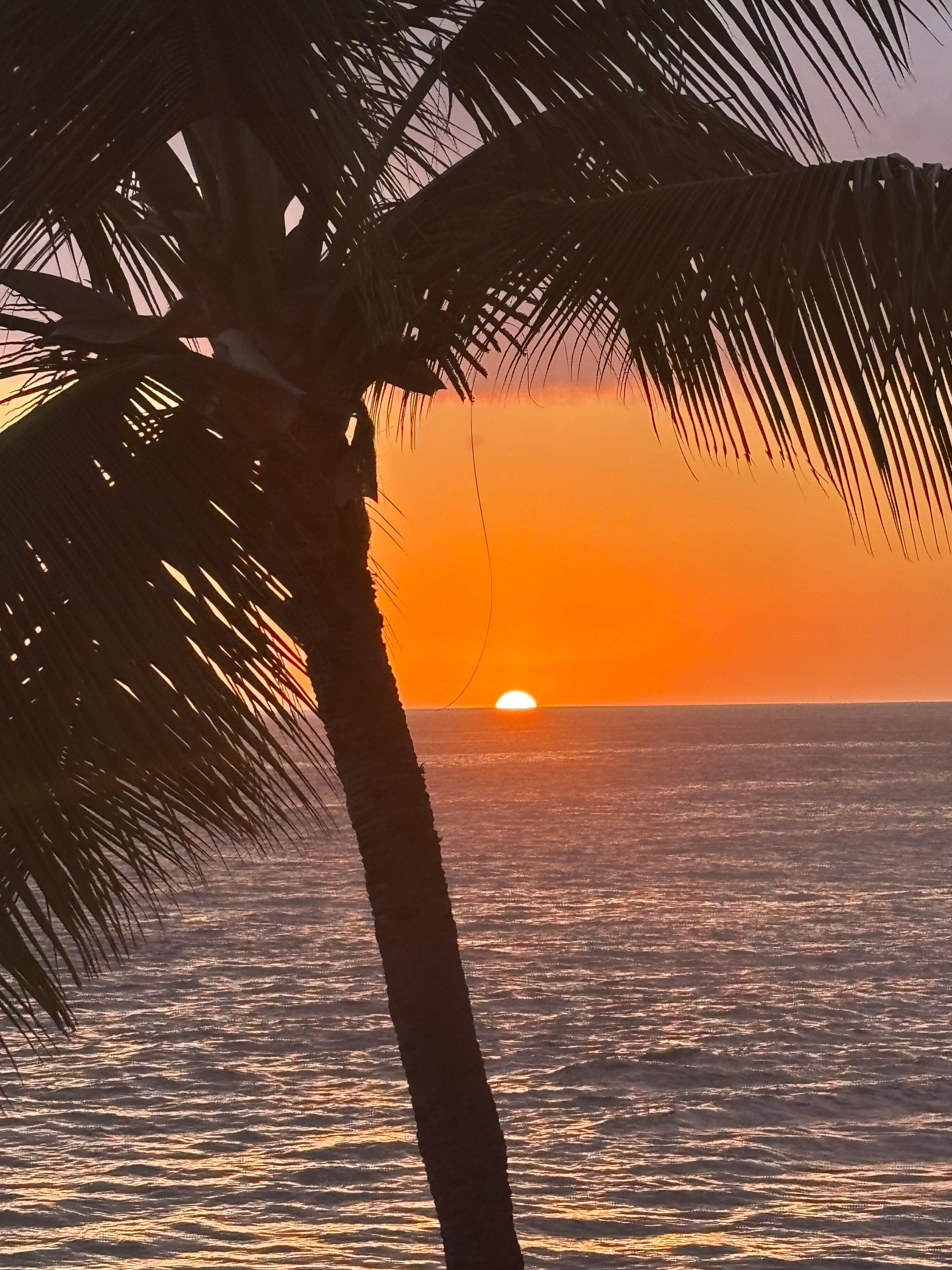 ...off the lanai
