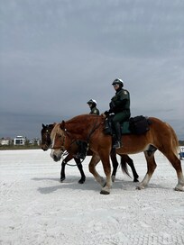Beach is well patrolled. It was fun seeing the horses.