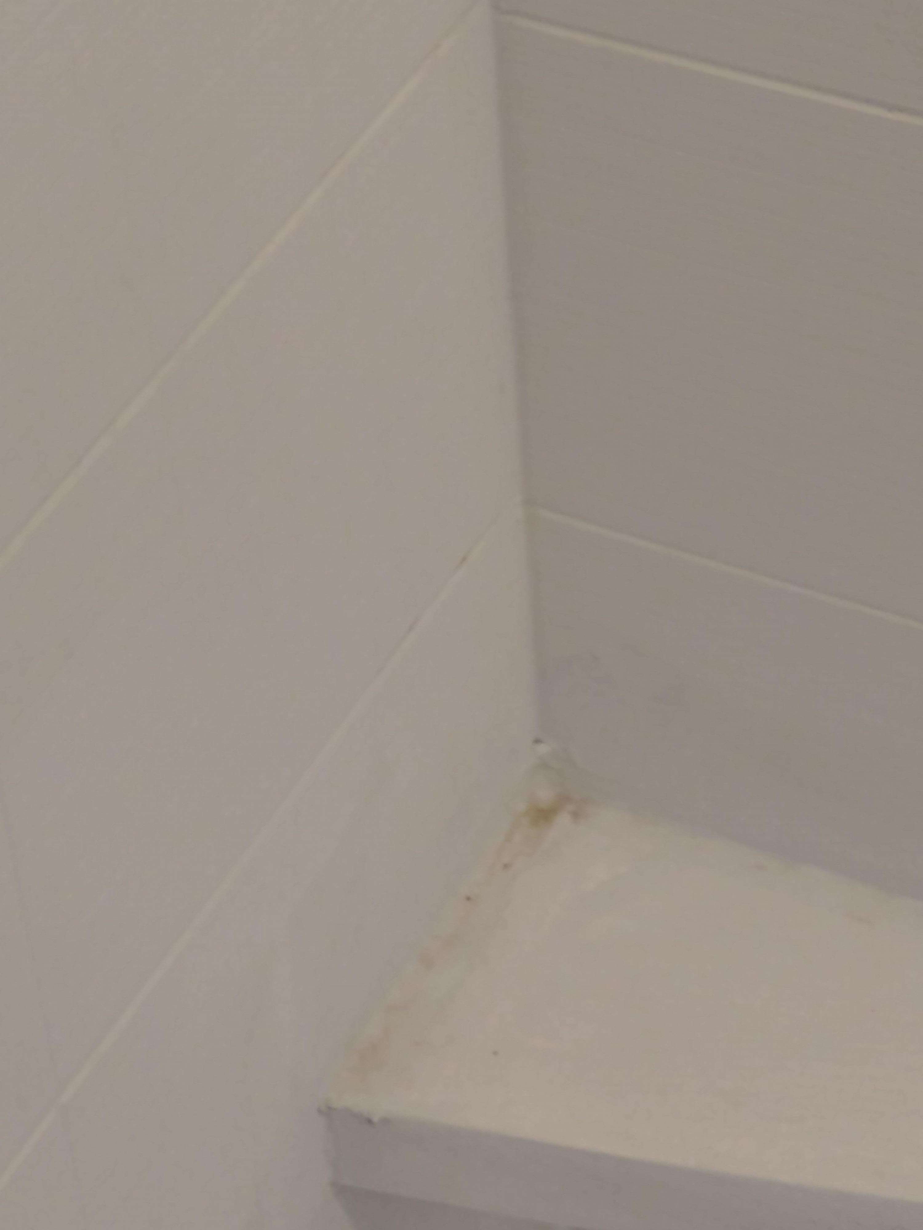 Inside the shower