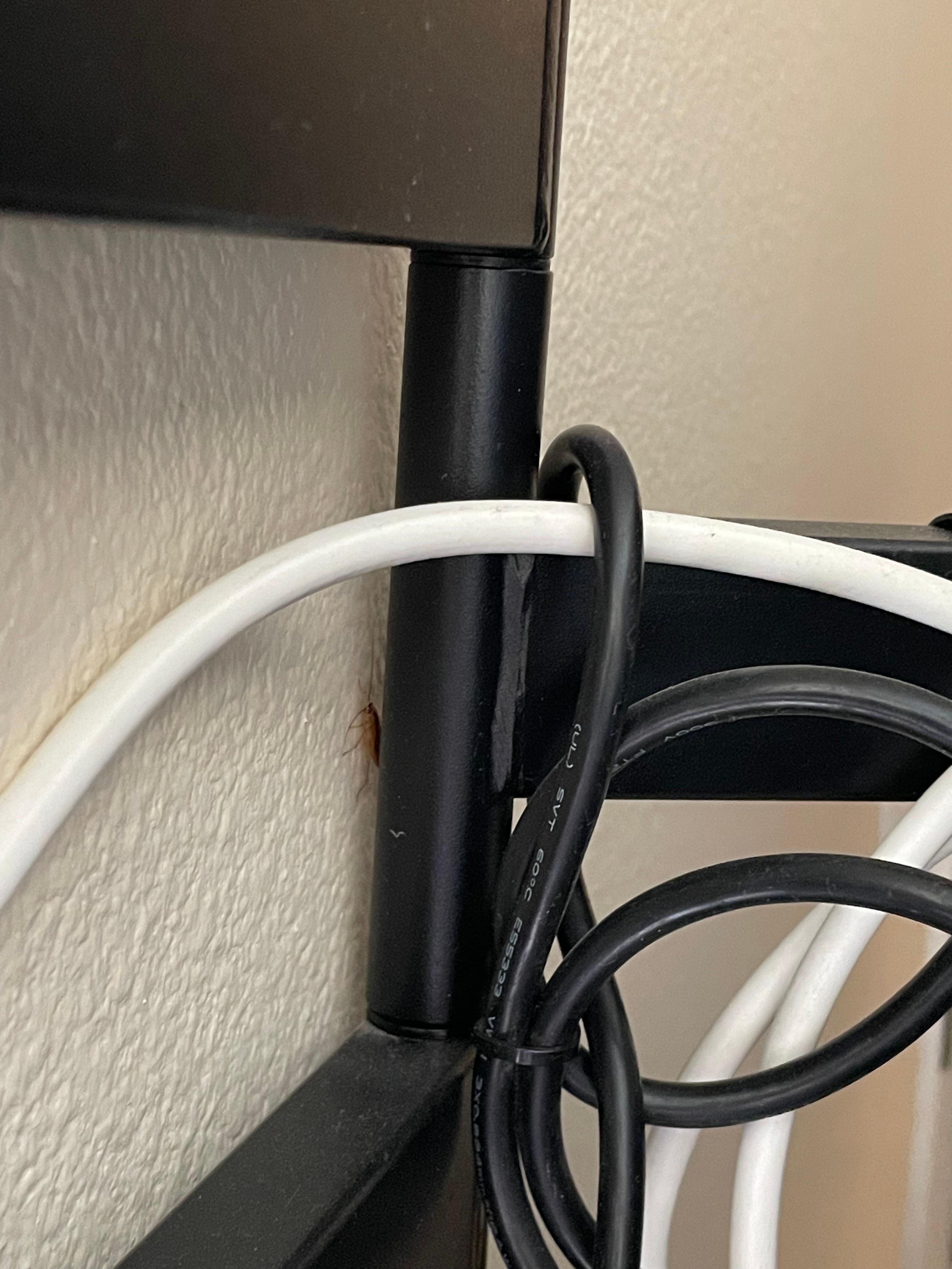 Roaches in the tv