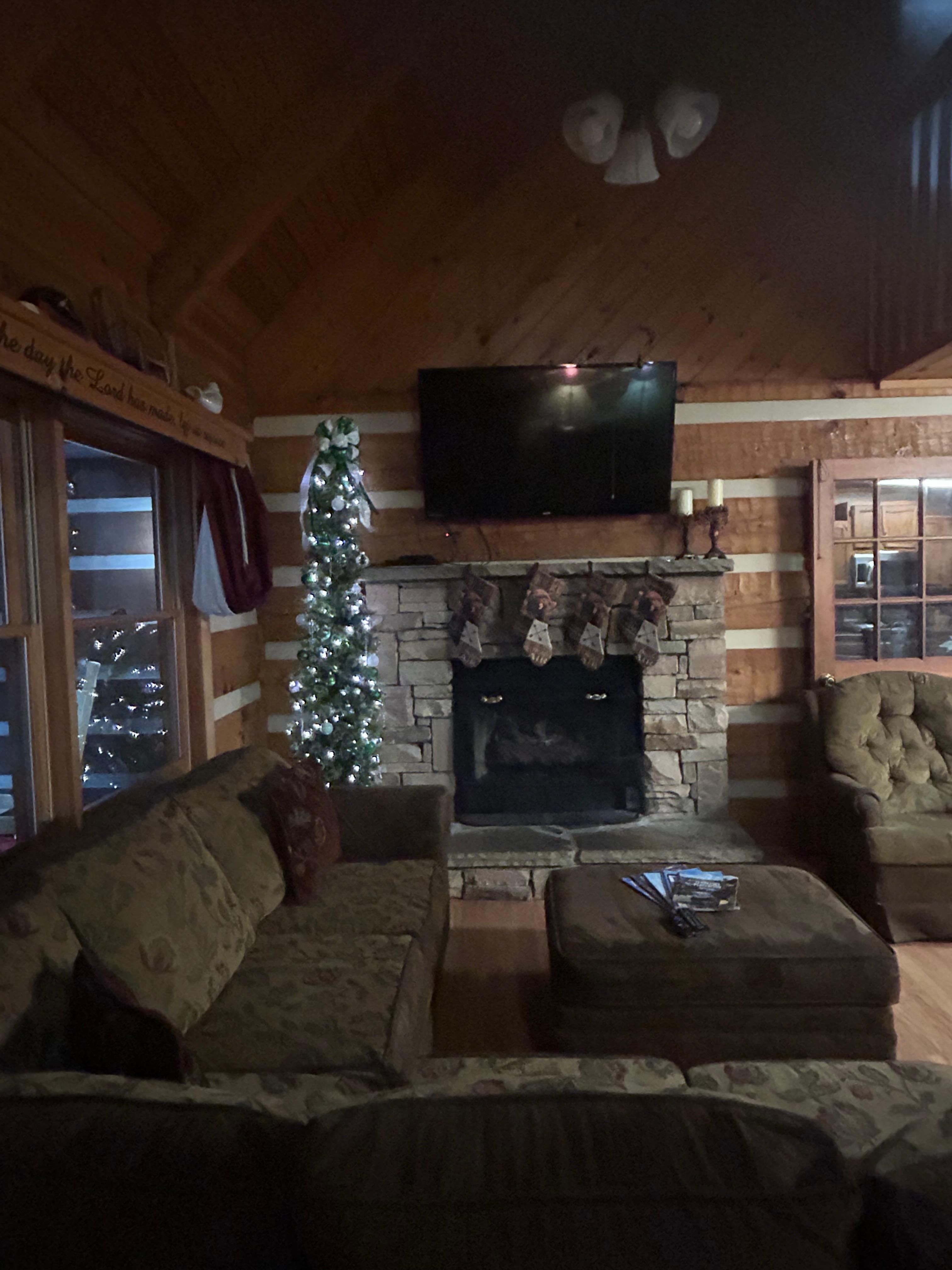 Fire place/ living Room 