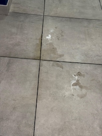 Pee on the floor. Didn’t get cleaned up nor was there a “caution - wet floor” sign.