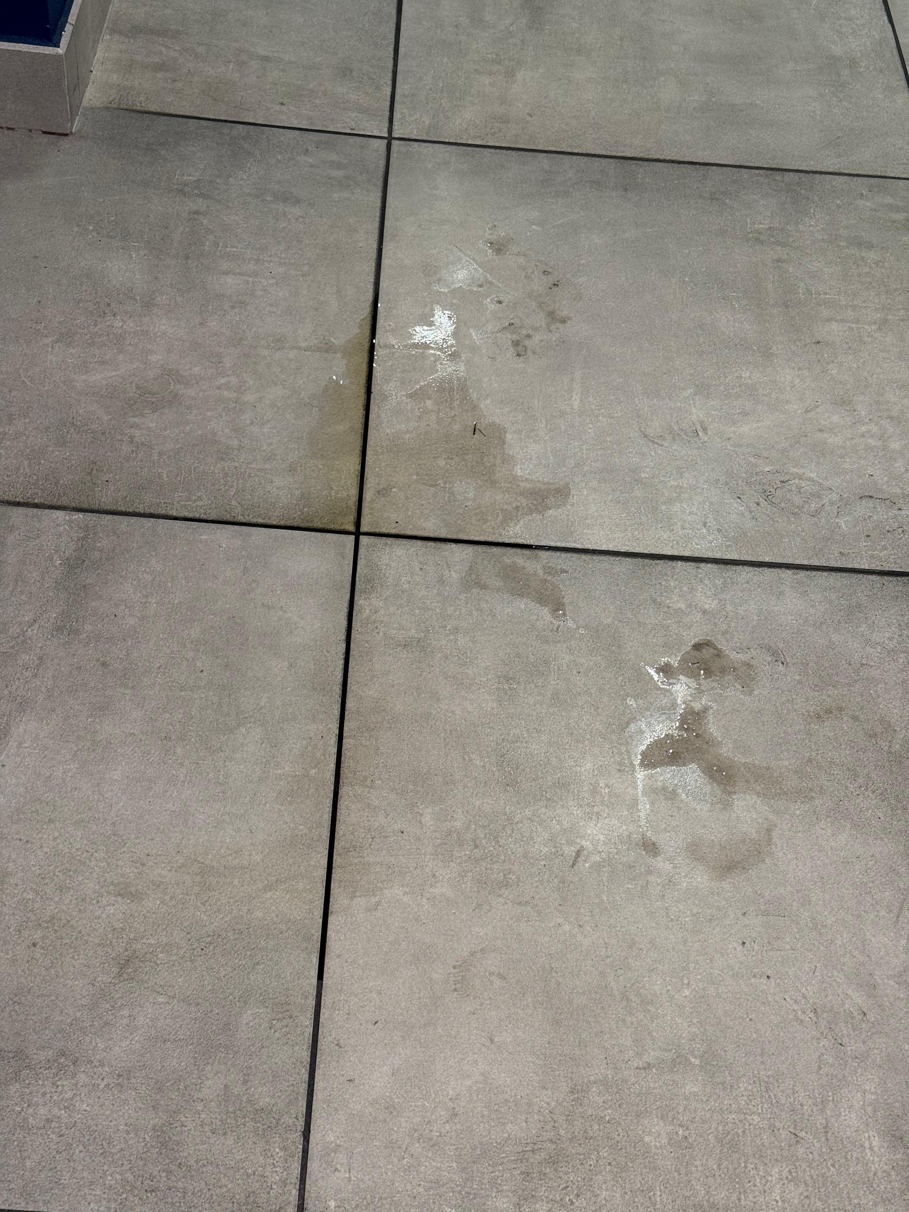 Pee on the floor. Didn’t get cleaned up nor was there a “caution - wet floor” sign.