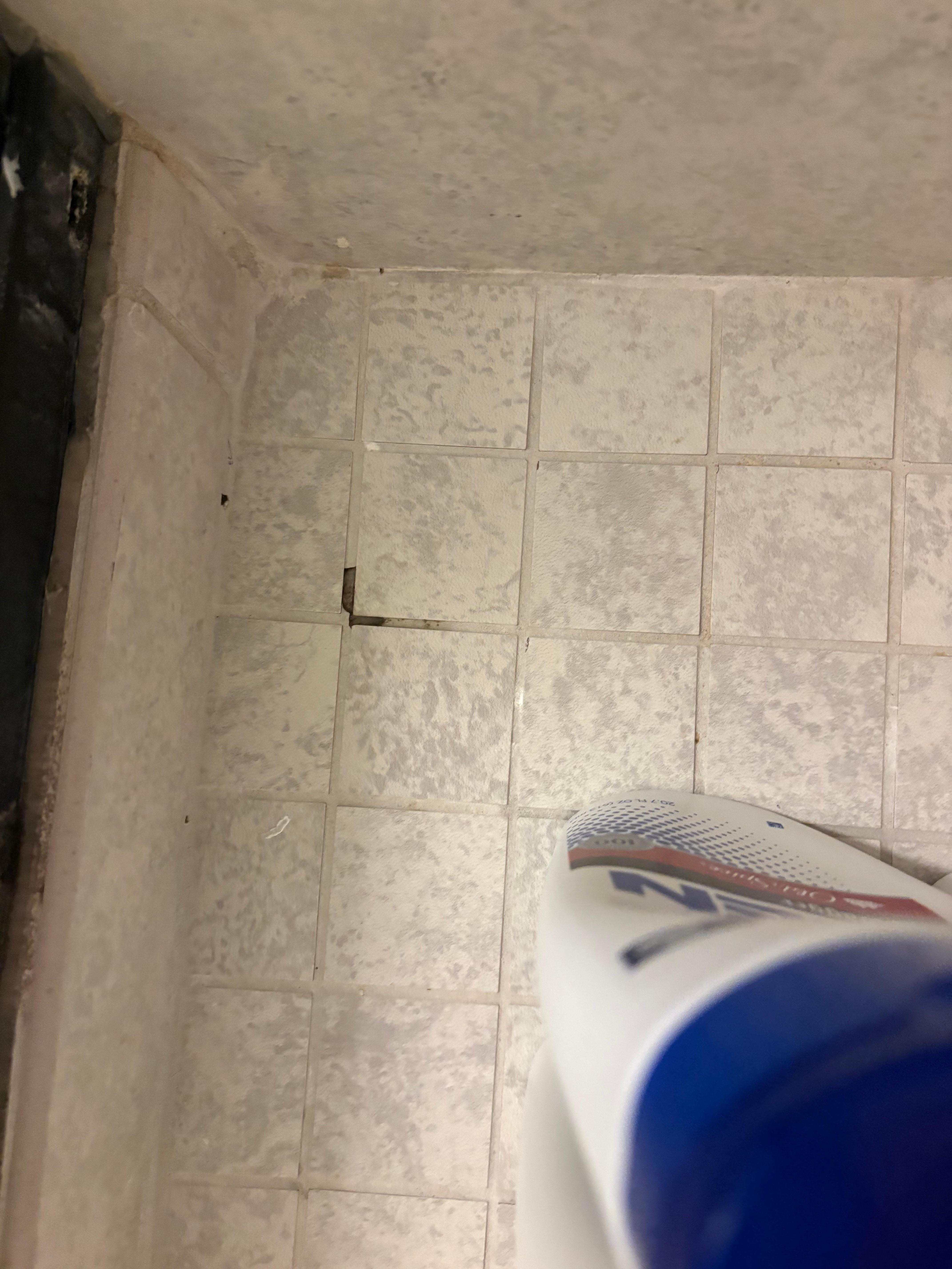 Mold on shower floor