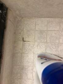 Mold on shower floor