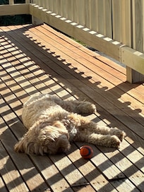 Sunbaking on the deck