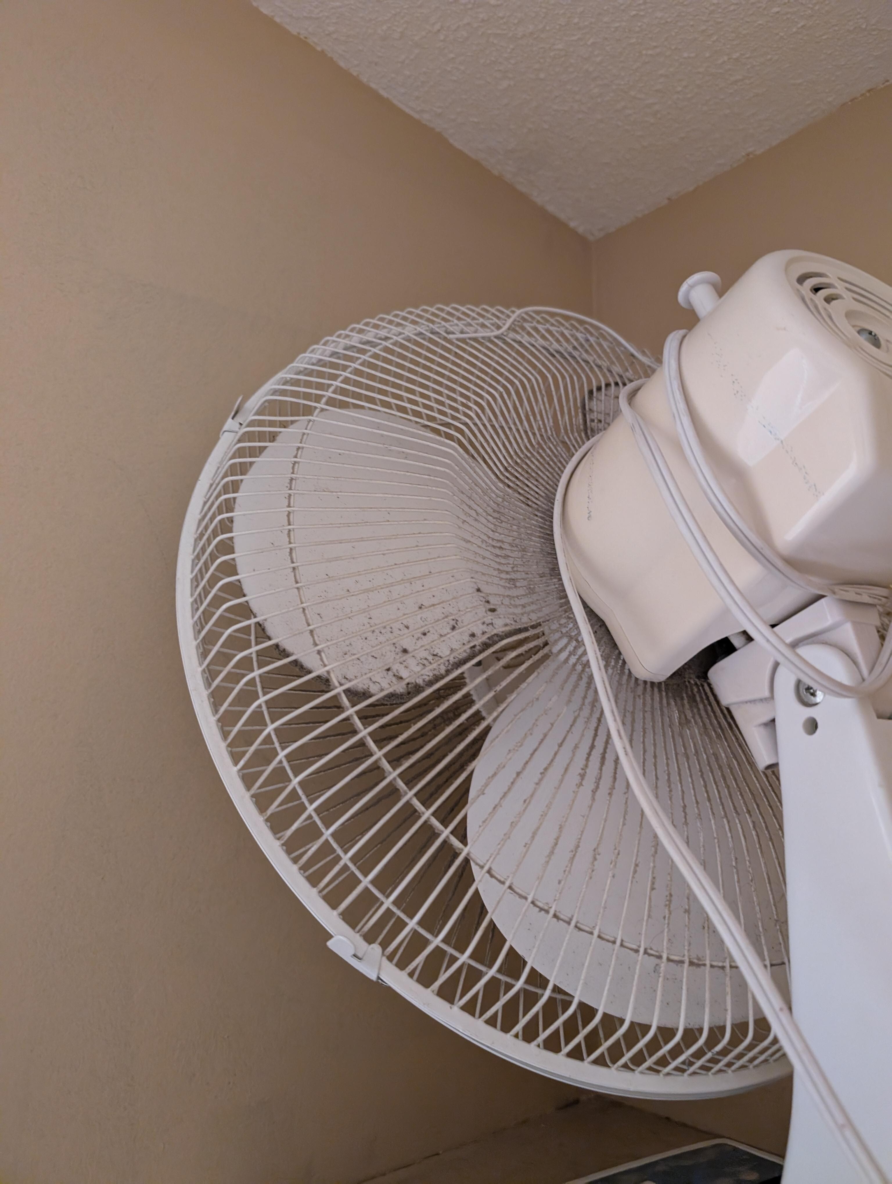 Dust on oscillating fan 