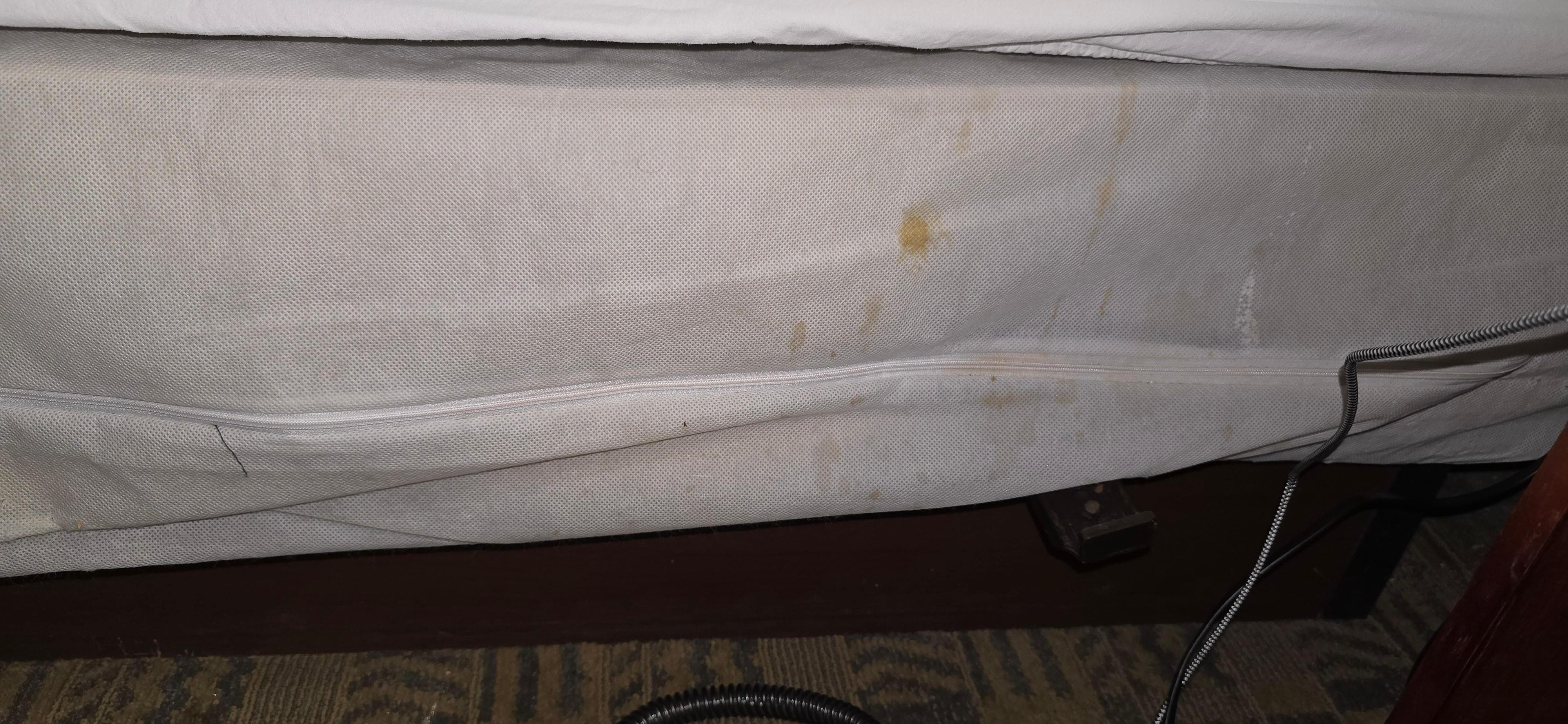 Gross box spring cover