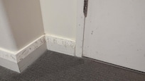 Mould on wall