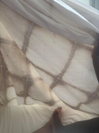 That is the back side of the bed comforter that was on the bed.