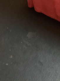 Stained and dirty carpet