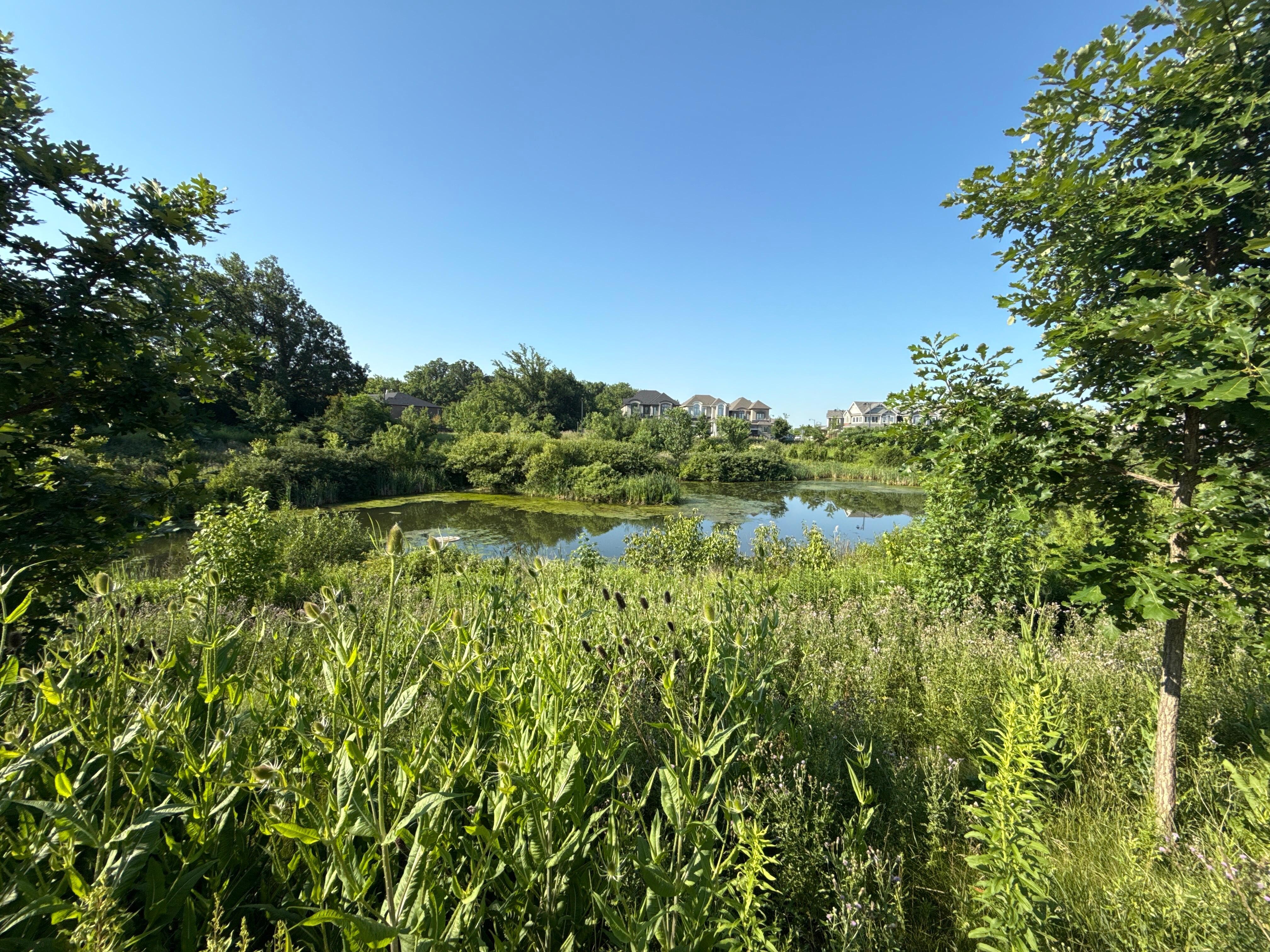 Morning run scenery. 