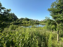 Morning run scenery.