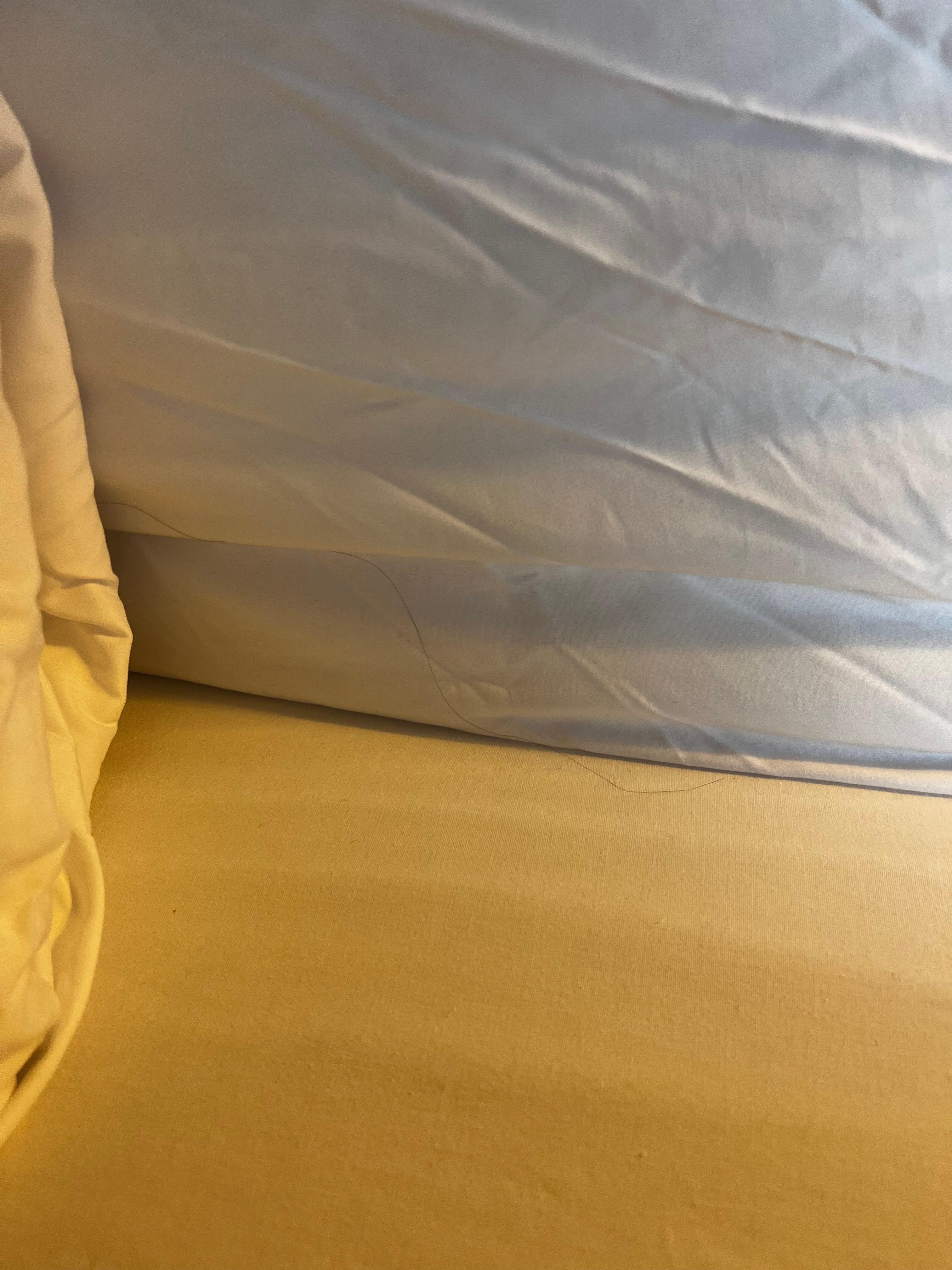 Hair in sheets