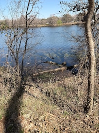 I was here 1978. Jogging just like everyone else. Zilker side.