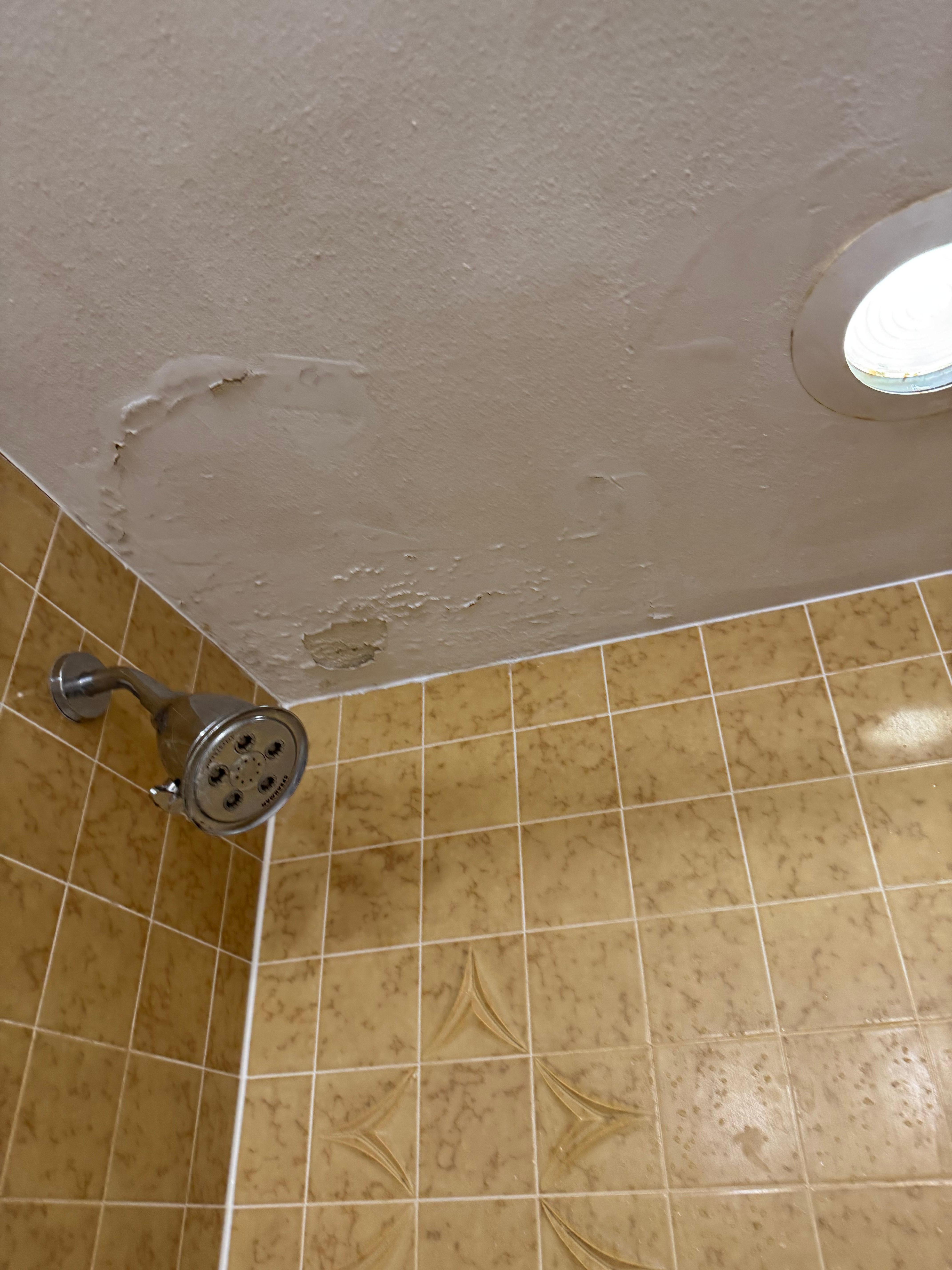Ceiling was falling apart and could tell they had used Killz to cover up all the mold that had collected over the years.