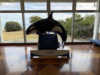 シャチがお出迎え