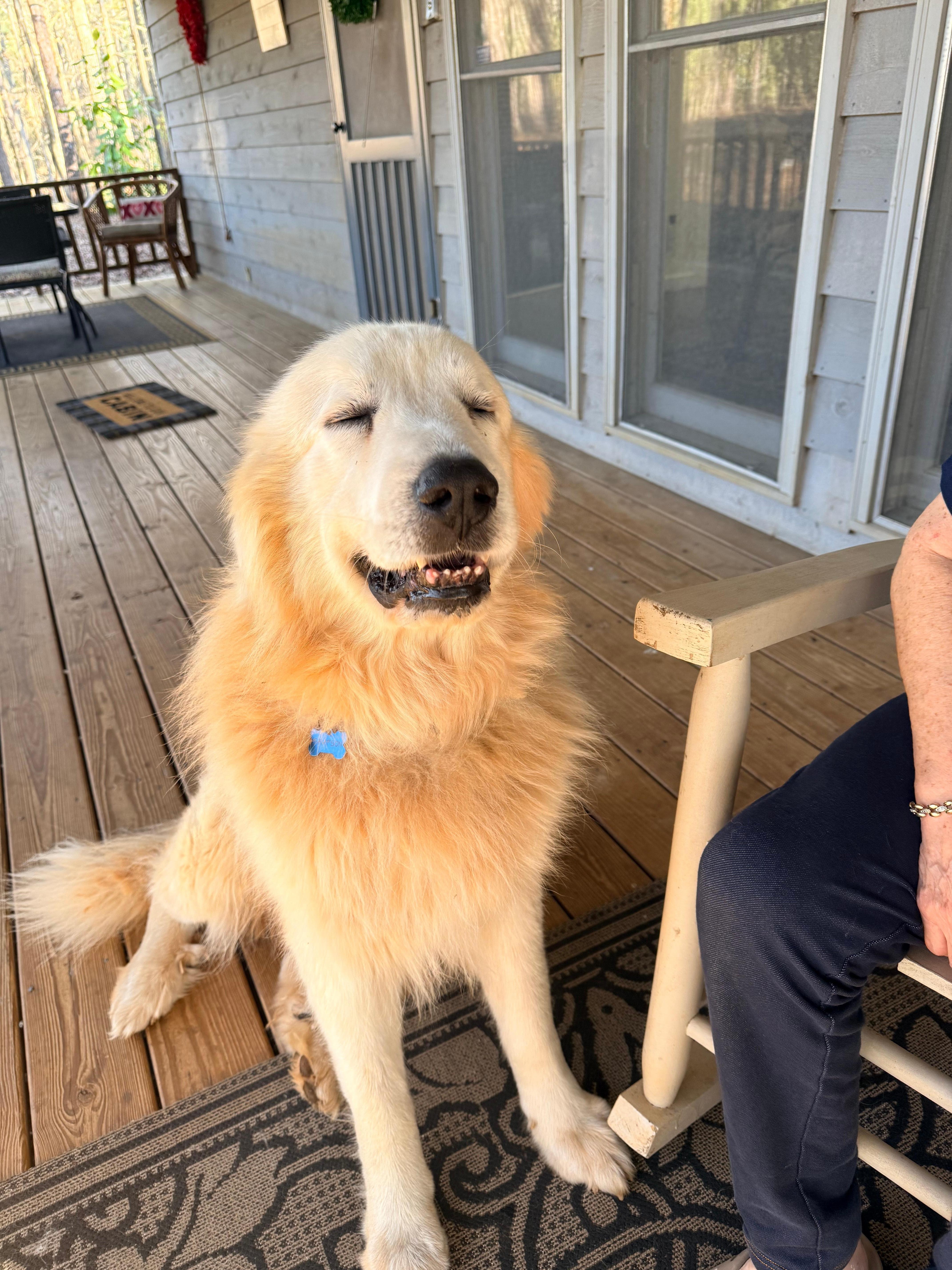 Sam comes by to welcome us and to check on us from time to time. We thank him with lots of hugs and attention. 