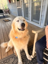 Sam comes by to welcome us and to check on us from time to time. We thank him with lots of hugs and attention.