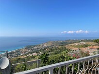The view
