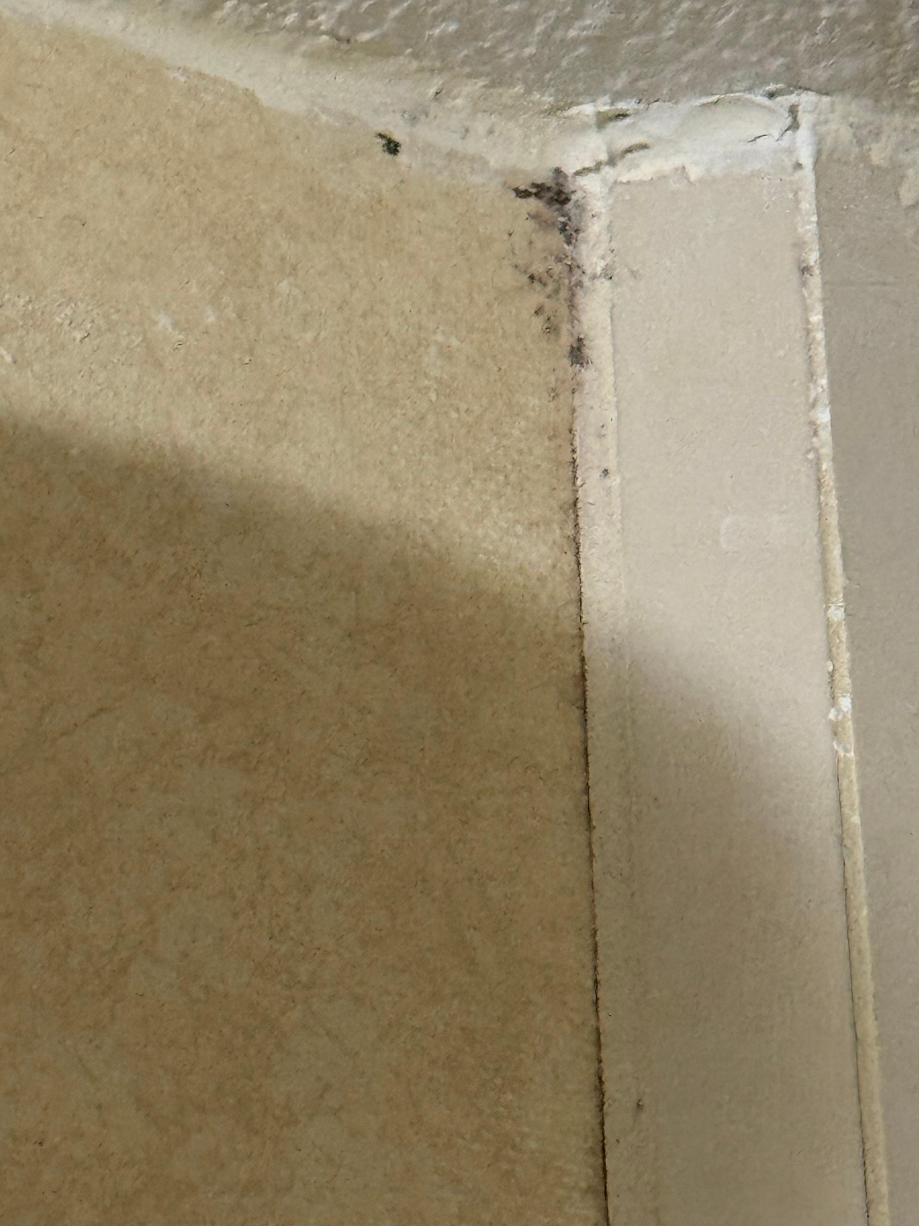 Mold