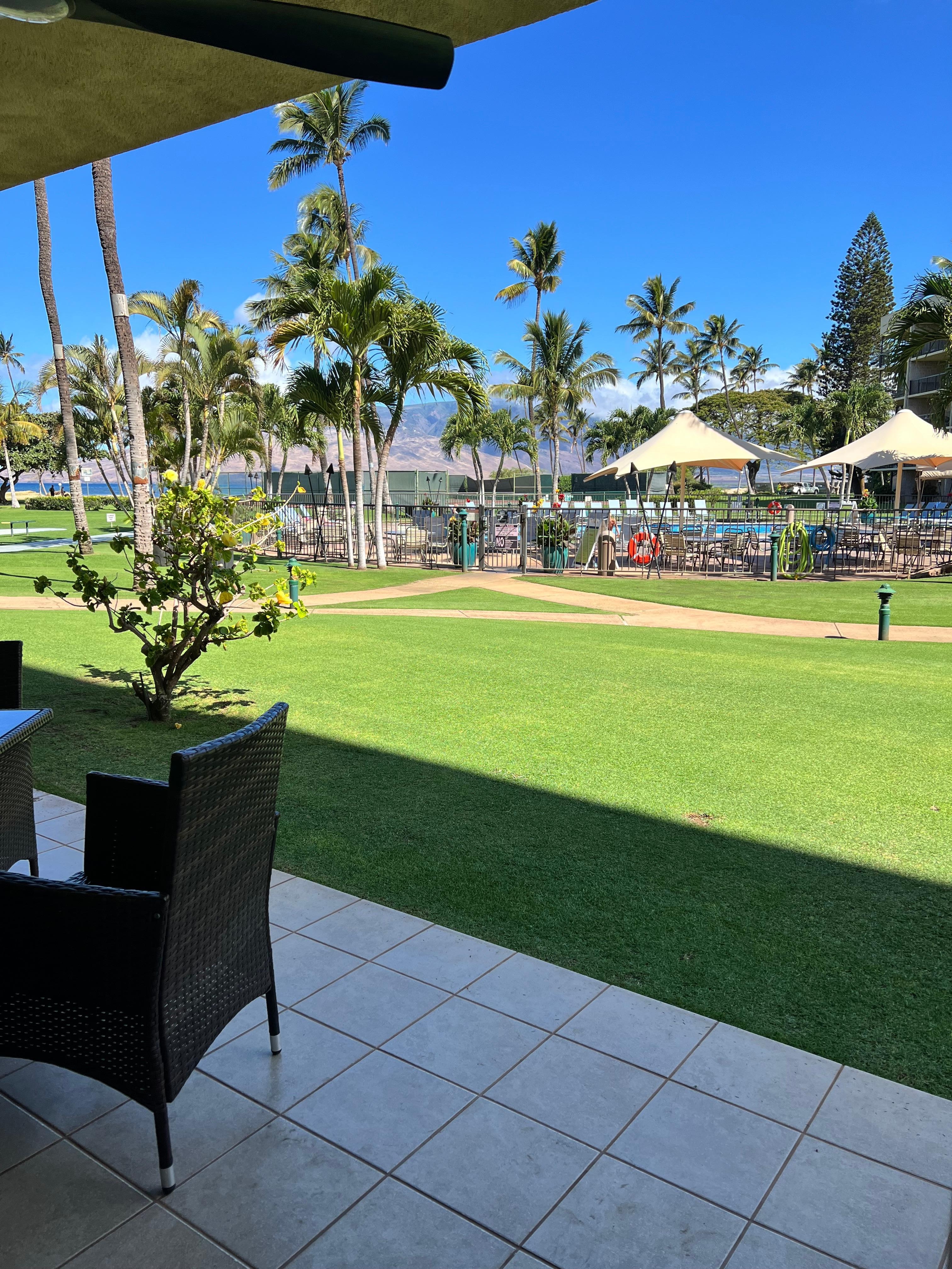 Only a few steps from the ground floor lanai to the pool. 