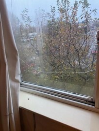 Who needs air conditioning?