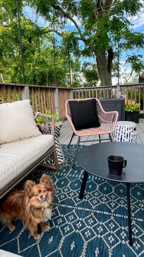 Back deck. (Pet-friendly!)