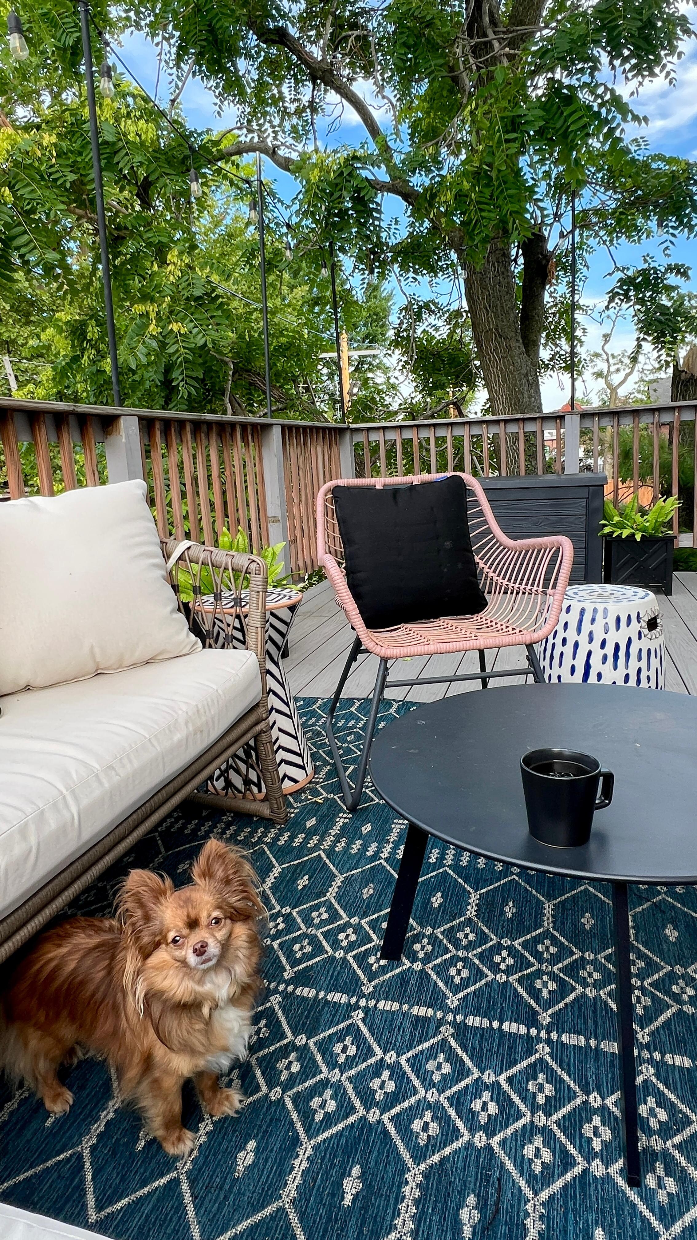 Back deck. (Pet-friendly!) 