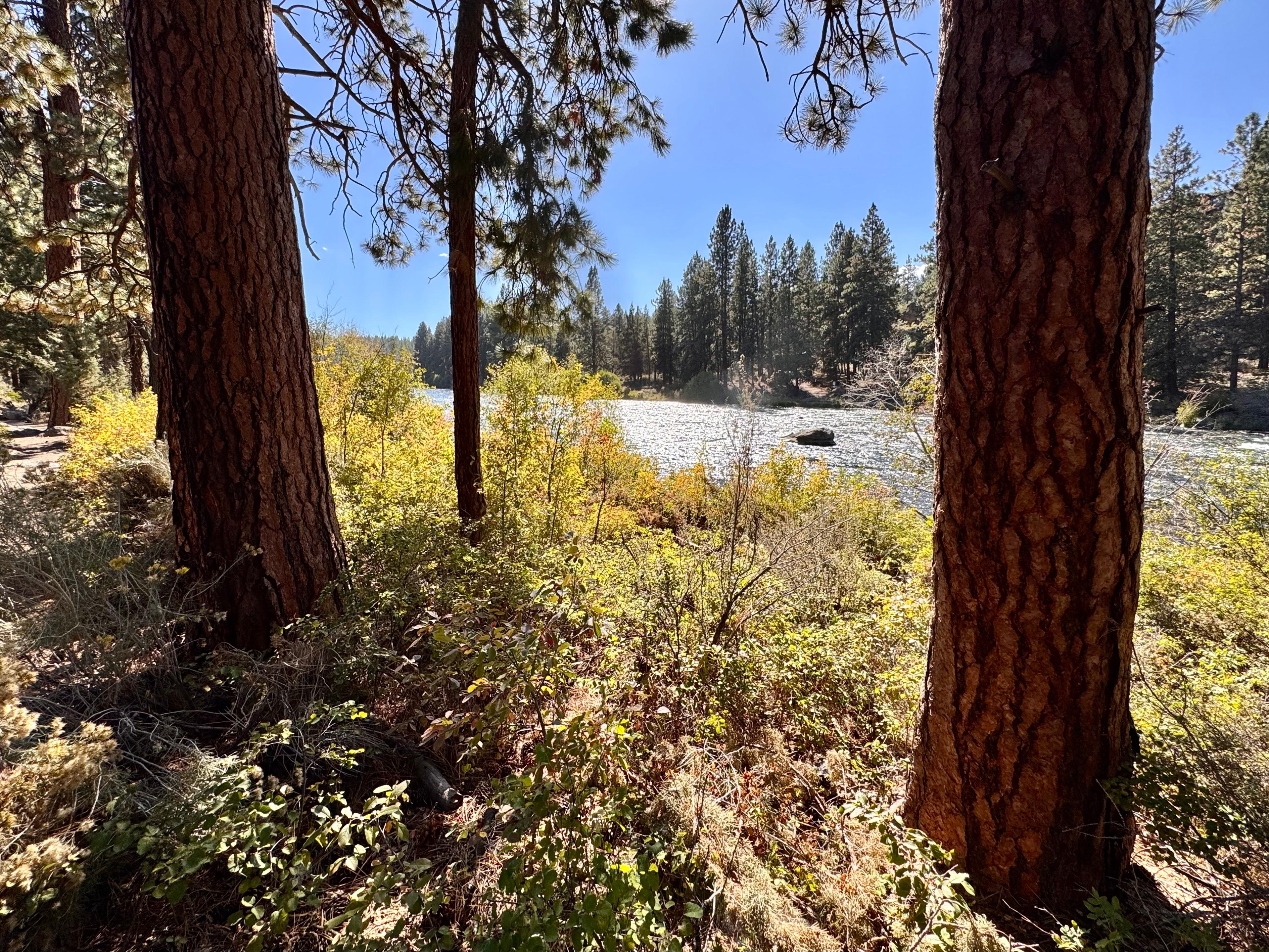 Beautiful Deschutes River. Walk it!