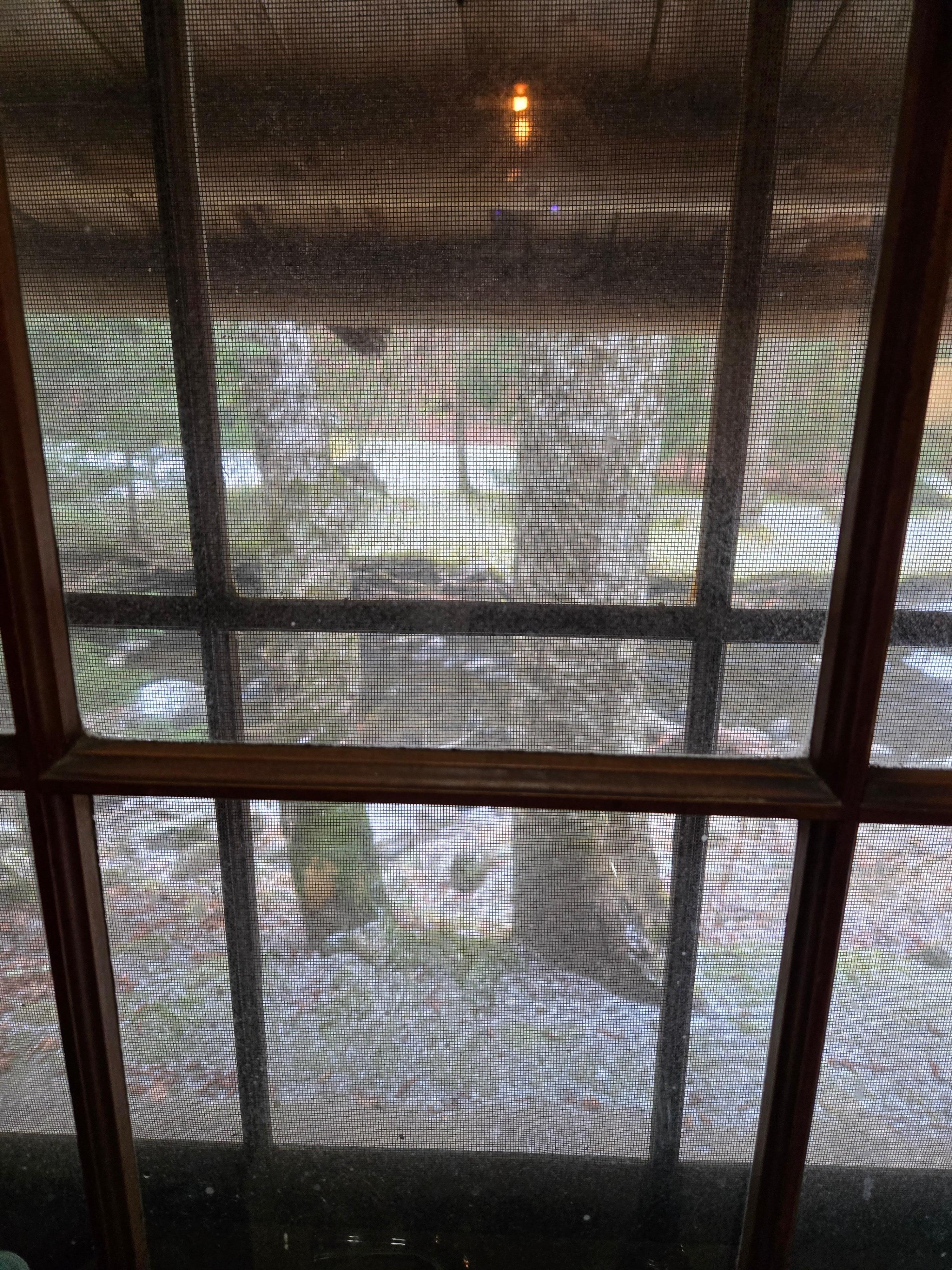 View from the kitchen sink 